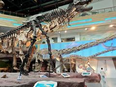 -安徽省地质博物馆