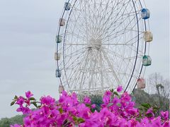 -观澜湖生态运动公社