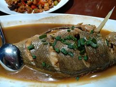 家常烧黄花鱼-郑庄脂渣海鲜楼(九水路店)