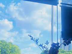 -上岛咖啡(珠园店)