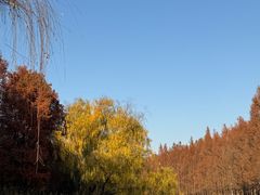 -尚贤河湿地