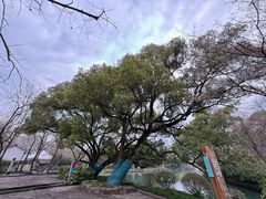 -西溪国家湿地公园