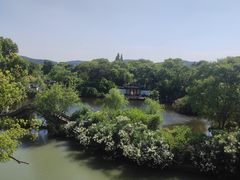 -无锡蠡湖国家湿地公园-蠡园
