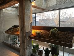 -三秋舍·梦幻岛(小西路店)