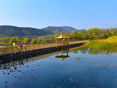 -翠湖国家城市湿地公园