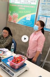 -蓝呗呗蓝莓草莓采摘园(通州区马驹桥店)