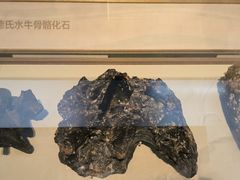 -舟山博物馆