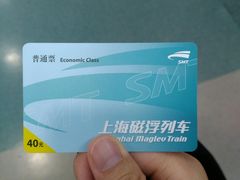 -龙阳路磁悬浮列车总站-停车场