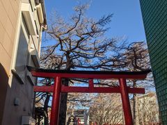 -富士山吉田線五合目