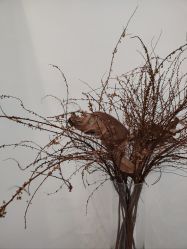 -无界瑜伽普拉提