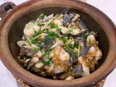 野生钳鱼-围龙屋客家食府(福田店)