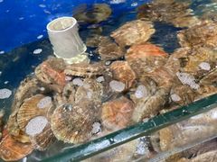 -雅逸居海鲜小厨