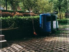 -广东惠东海龟国家级自然保护区