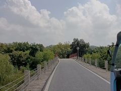 -南宁良凤江国家森林公园