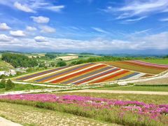 -富田农场