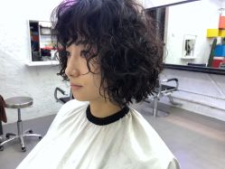 -SALON V