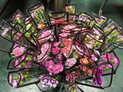 -院里寻菜·精致庭院菜(观沙岭店)