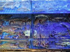 -渔民船说·北塘海鲜·天津菜·海肠捞饭(北塘古镇店)