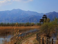 -野鸭湖国家湿地公园