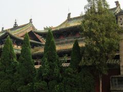 -盐池神庙