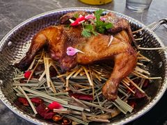 -Hi City·城市之巅