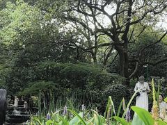 -中国茶叶博物馆(双峰馆区)