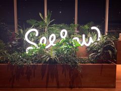 -Seesaw Coffee(朝阳大悦城店)
