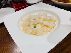 -乔家栅(襄阳南路店)