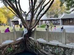 -墨池公园