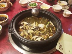 -乳仔牛牦牛汤锅 烤羊排(松潘古城店)