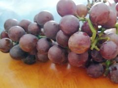 -新隆嘉供销超市(青岛瑞昌路店)