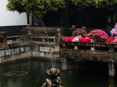 -上海醉白池公园