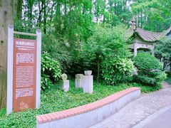 -亭林公园