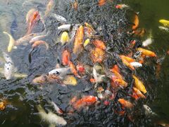 -珠海圆明新园
