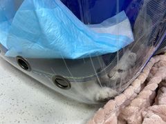 -联合动物医院(光谷诊疗中心)