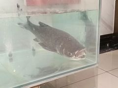 -旺顺阁鱼头泡饼(常营店)