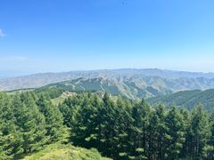 -苏木山森林公园