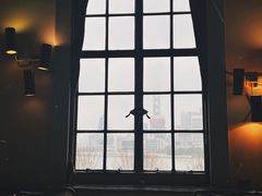 -茹丝葵经典牛排馆(上海外滩店)