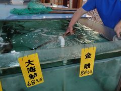 -寻味顺德·南记酒家·传统顺德菜·鱼生(广源路店)