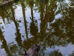 -海南热带野生动植物园