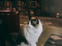 -咖法森林·咖啡  酒吧(天河店)