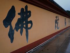 -上海东林寺(金山区)