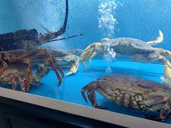 -海捞工坊泉水火锅