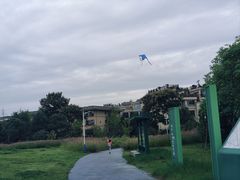 -两河城市森林公园