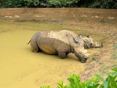 -泉州海丝野生动物世界