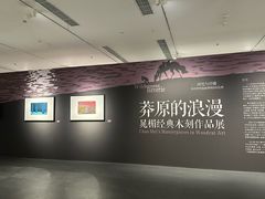 -四川美术馆