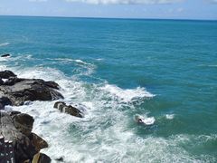 -广东惠东海龟国家级自然保护区