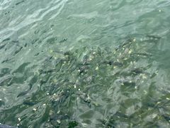 -青海湖二郎剑景区