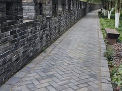 -桂湖森林公园