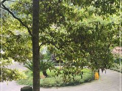 -都江堰普照寺